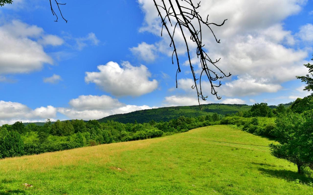 Natura Hause Rakovica Luaran gambar
