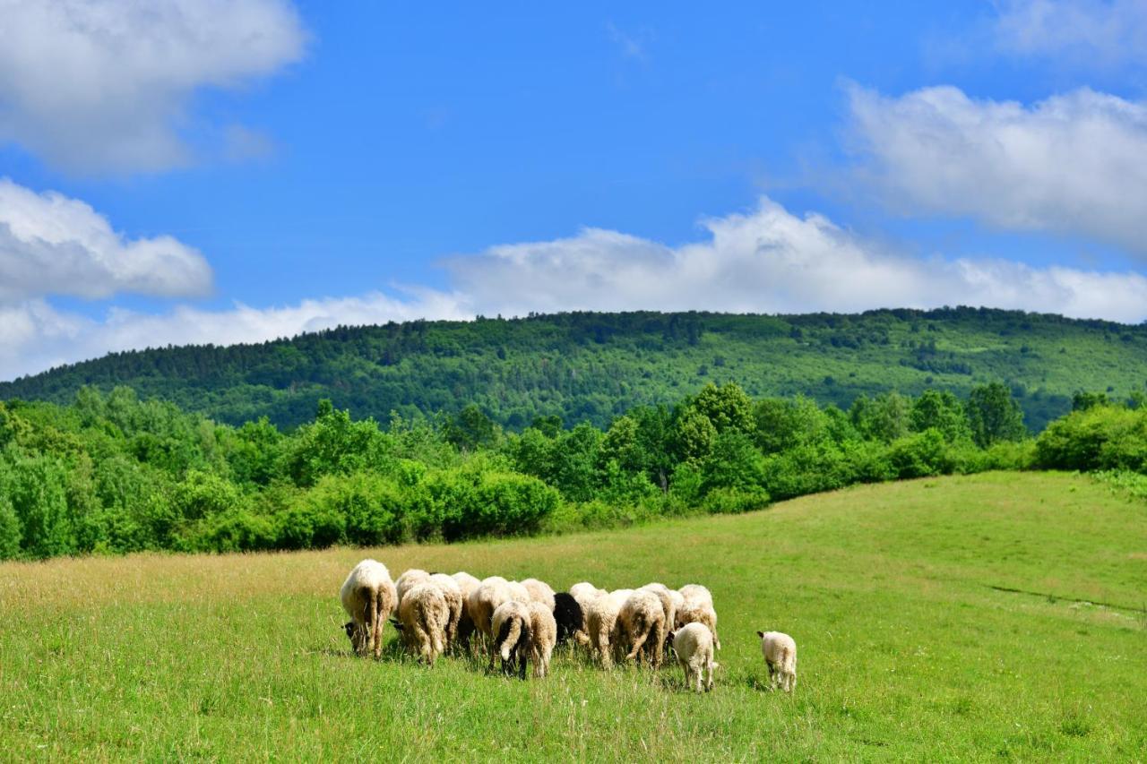 Natura Hause Rakovica Luaran gambar